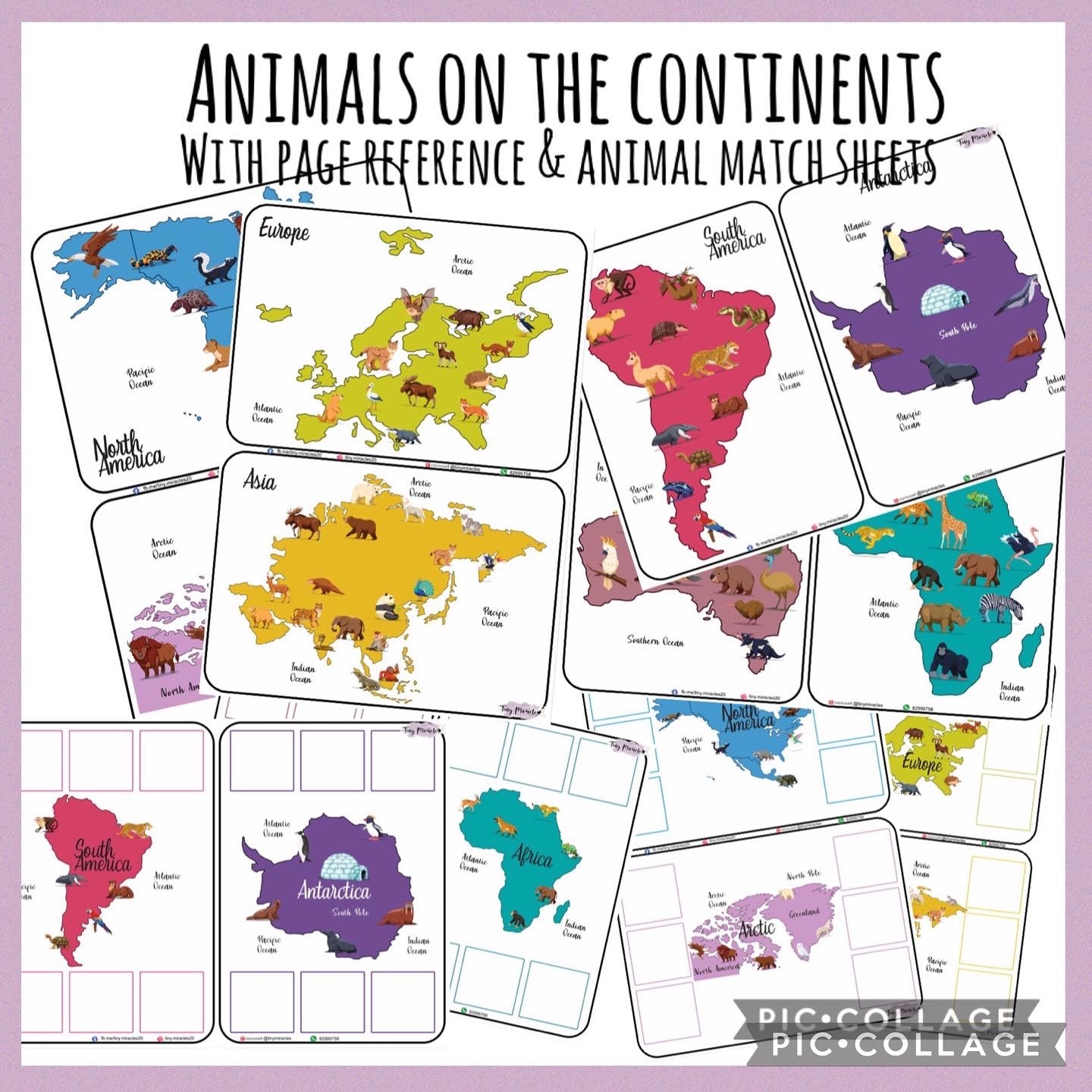 Animals on Each Continent of the World (W02)