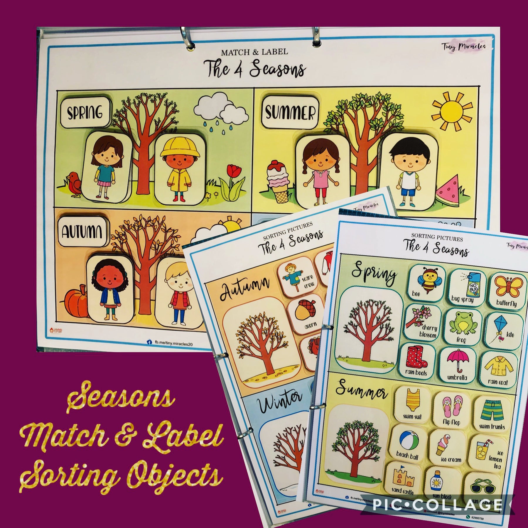 Educational materials for matching and labeling the four seasons on a purple background.