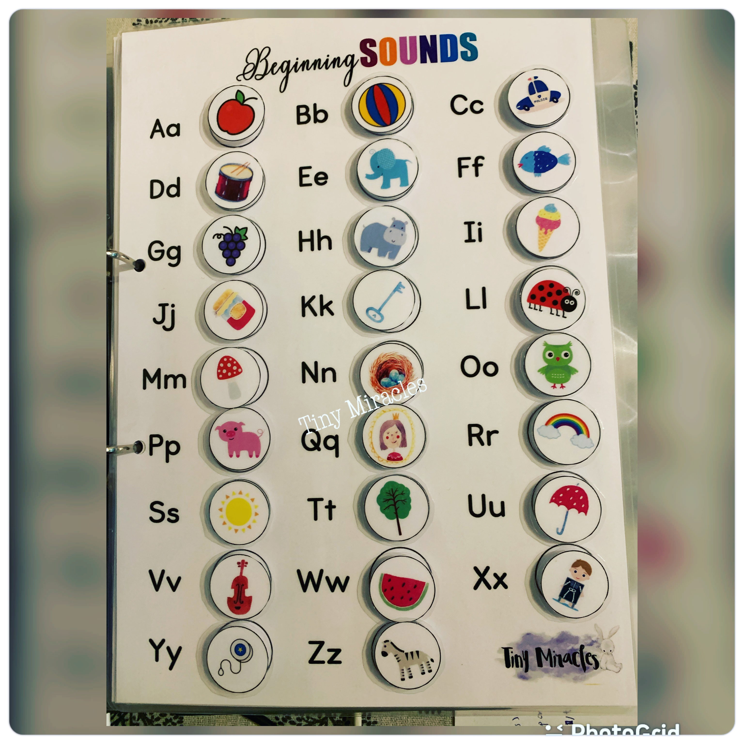 Phonic Picture Match | Beginning Sounds Activity for Toddlers (English)
