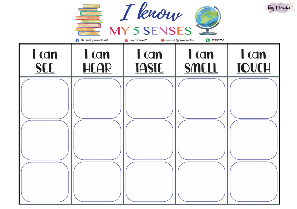 My 5 Senses Sorting