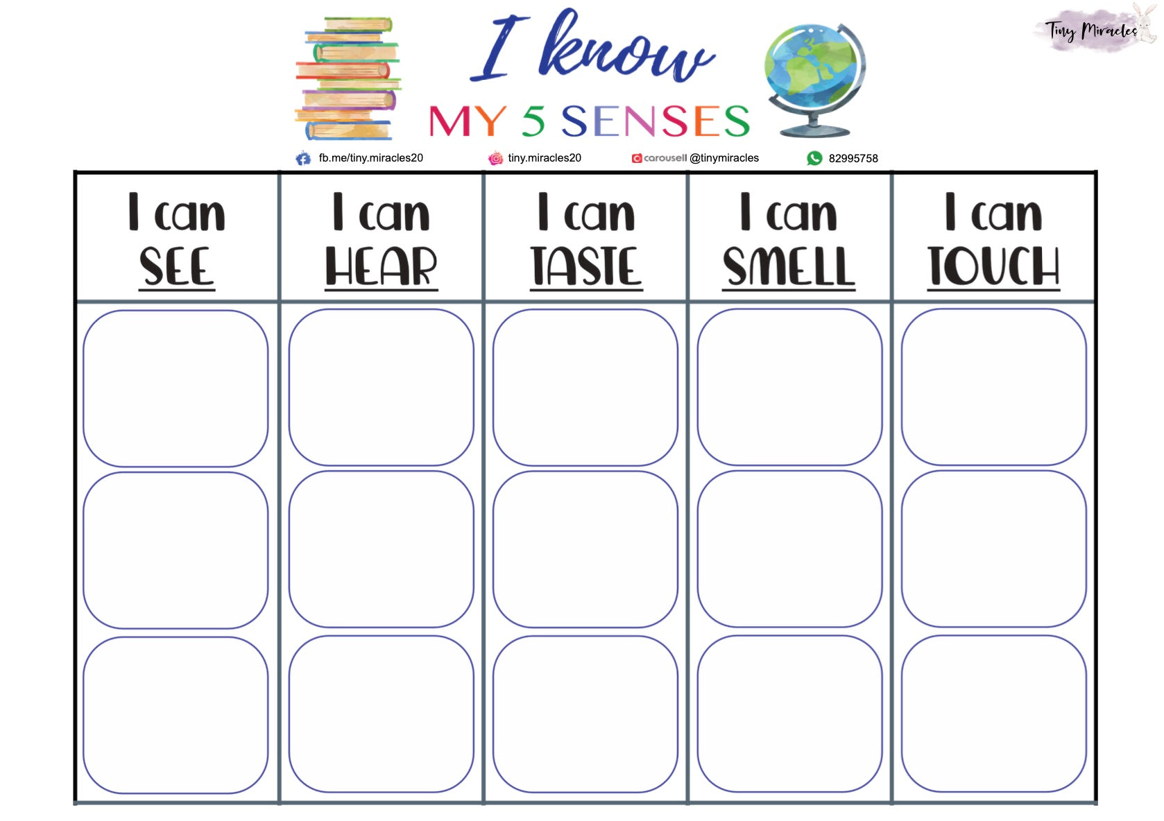 My 5 Senses Sorting