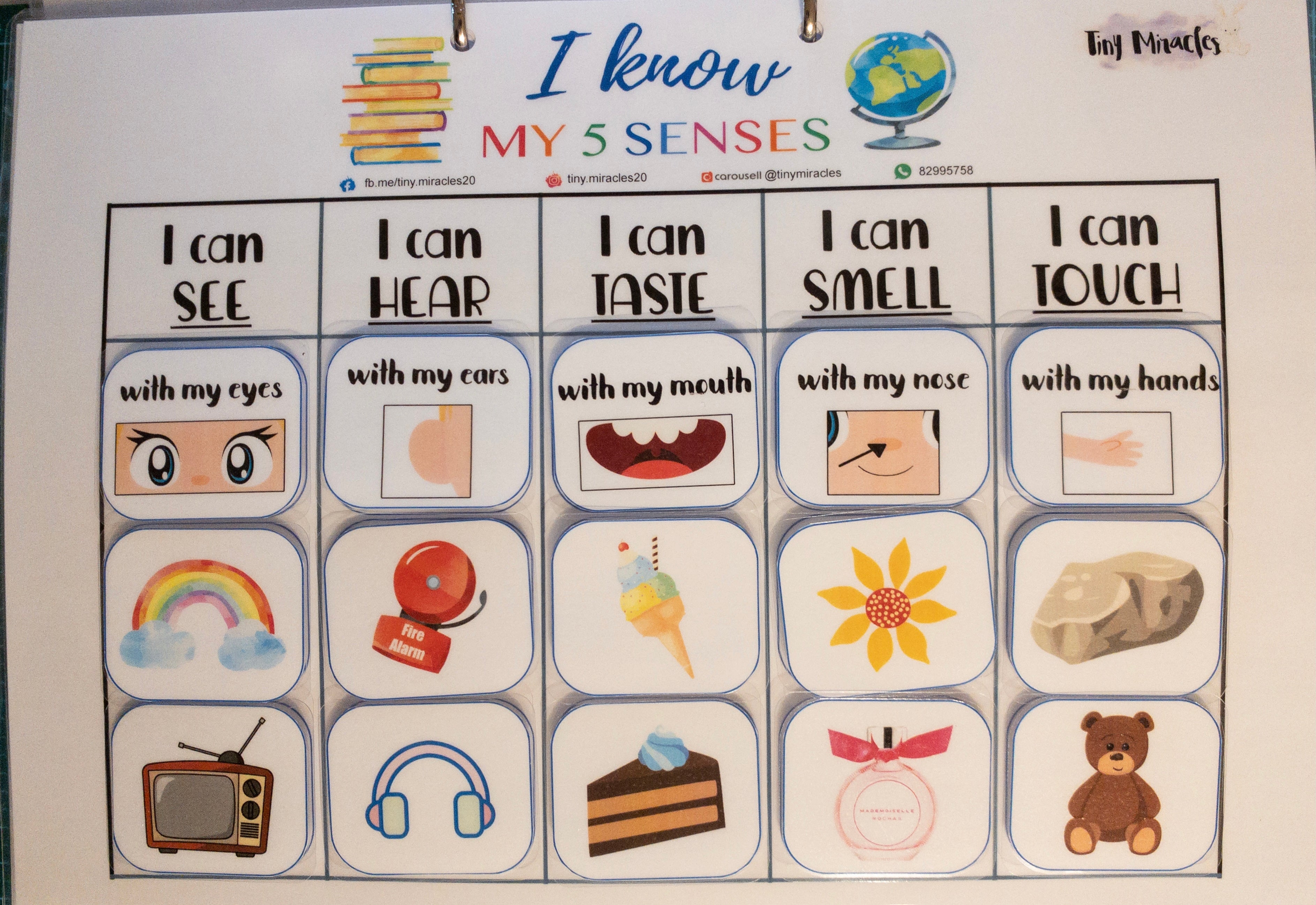 5 Senses Sorting Match | Velcro Activity for Toddlers (English)