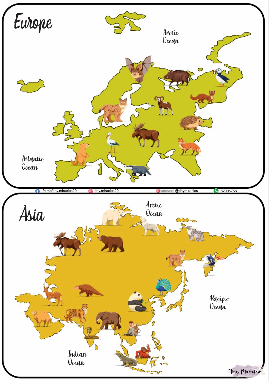 Animals on Each Continent of the World (W02)