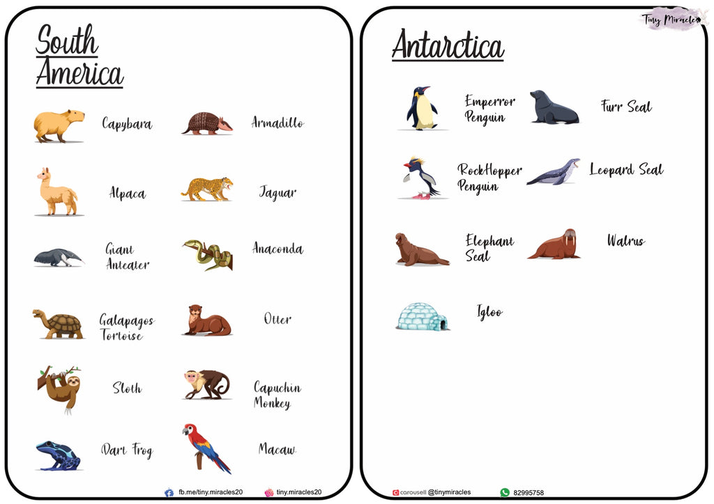 Animals on Each Continent of the World (W02)