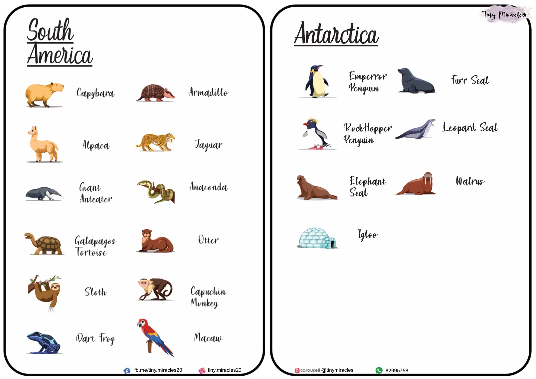 Animals on Each Continent of the World (W02)