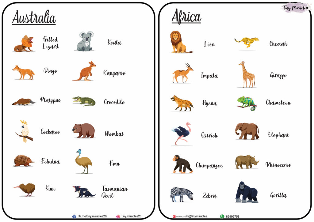 Animals on Each Continent of the World (W02)