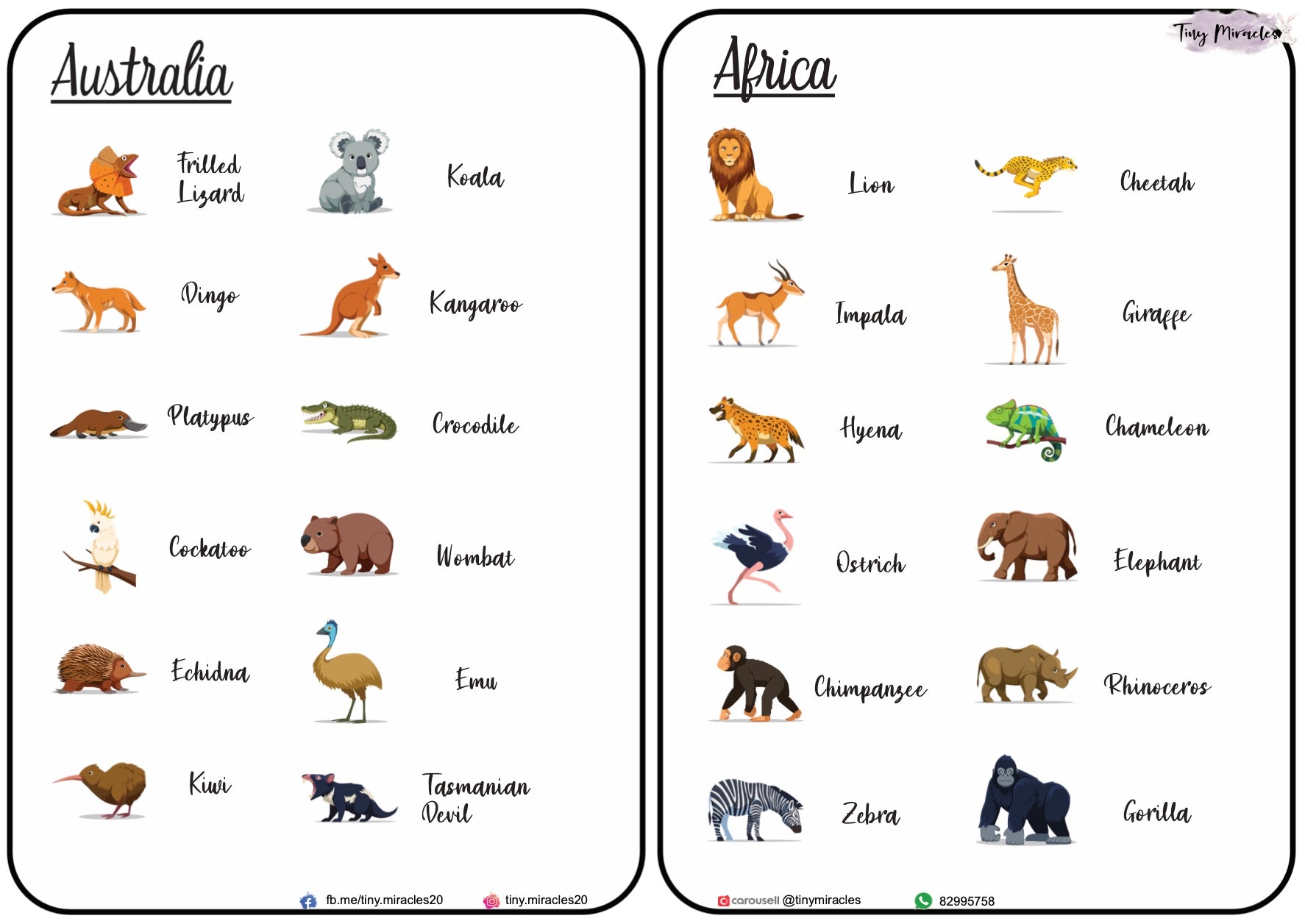 Animals on Each Continent of the World (W02)