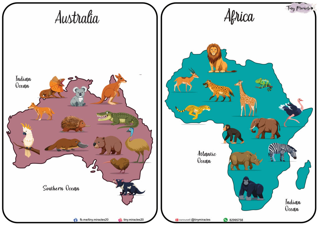 Animals on Each Continent of the World (W02)