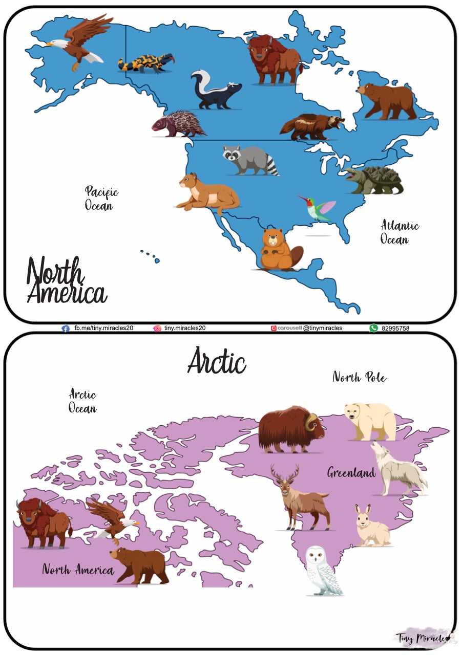 Animals on Each Continent of the World (W02)