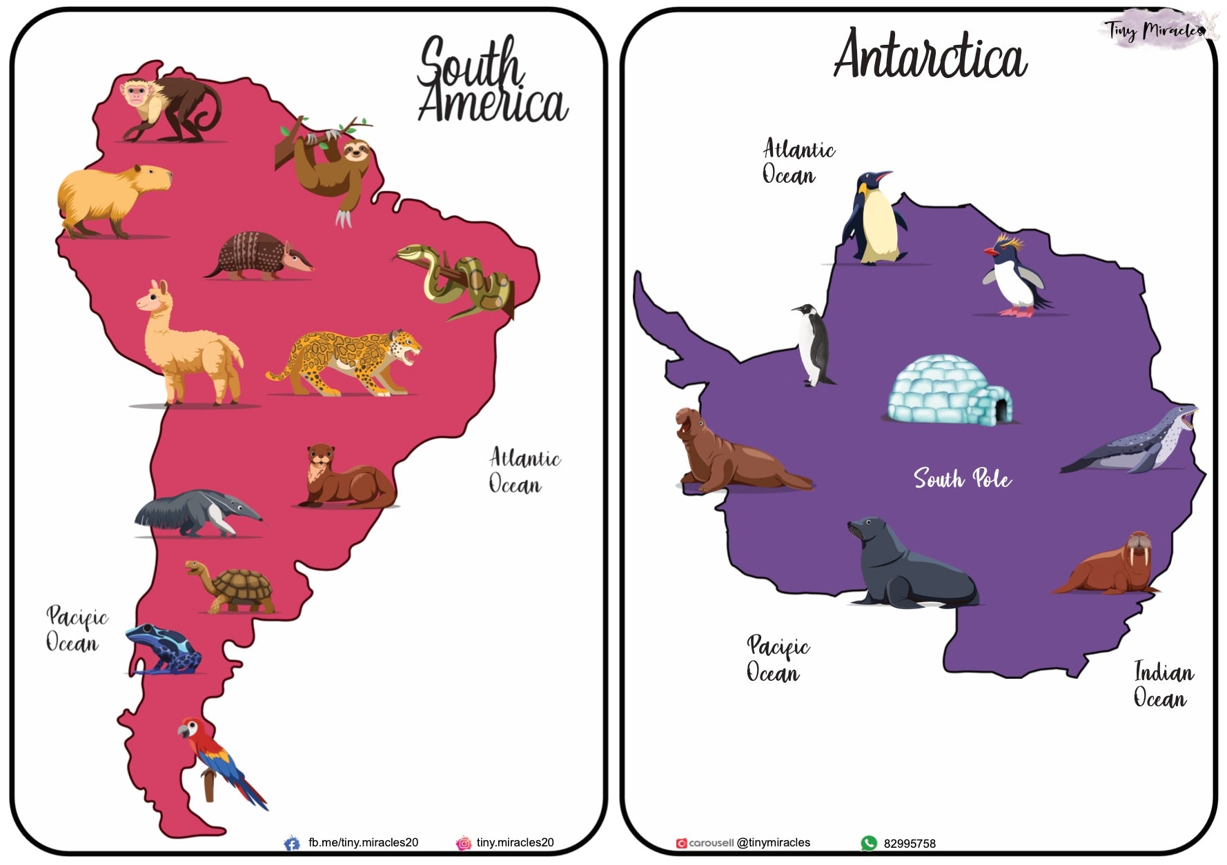 Animals on Each Continent of the World (W02)