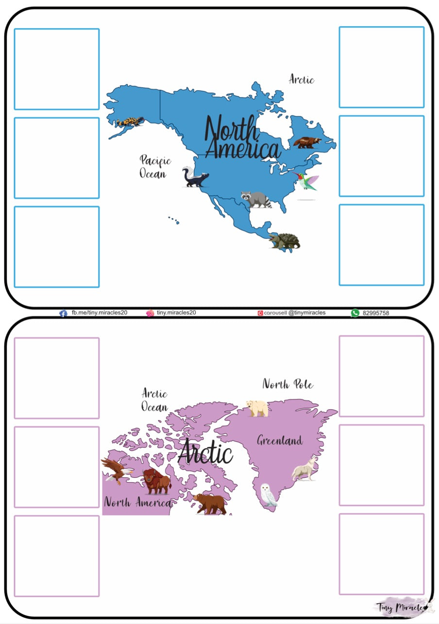 Animals on Each Continent of the World (W02)