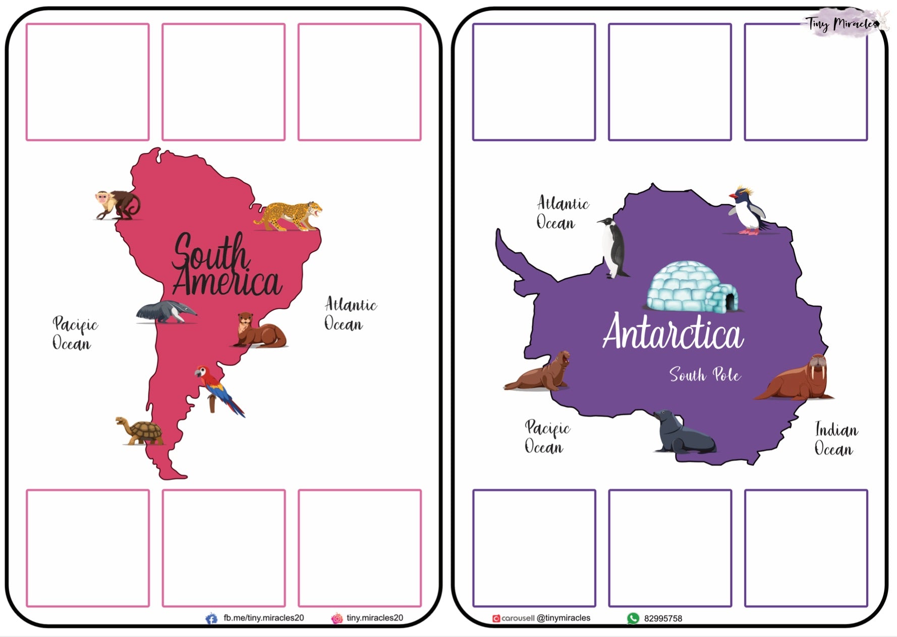 Animals on Each Continent of the World (W02)