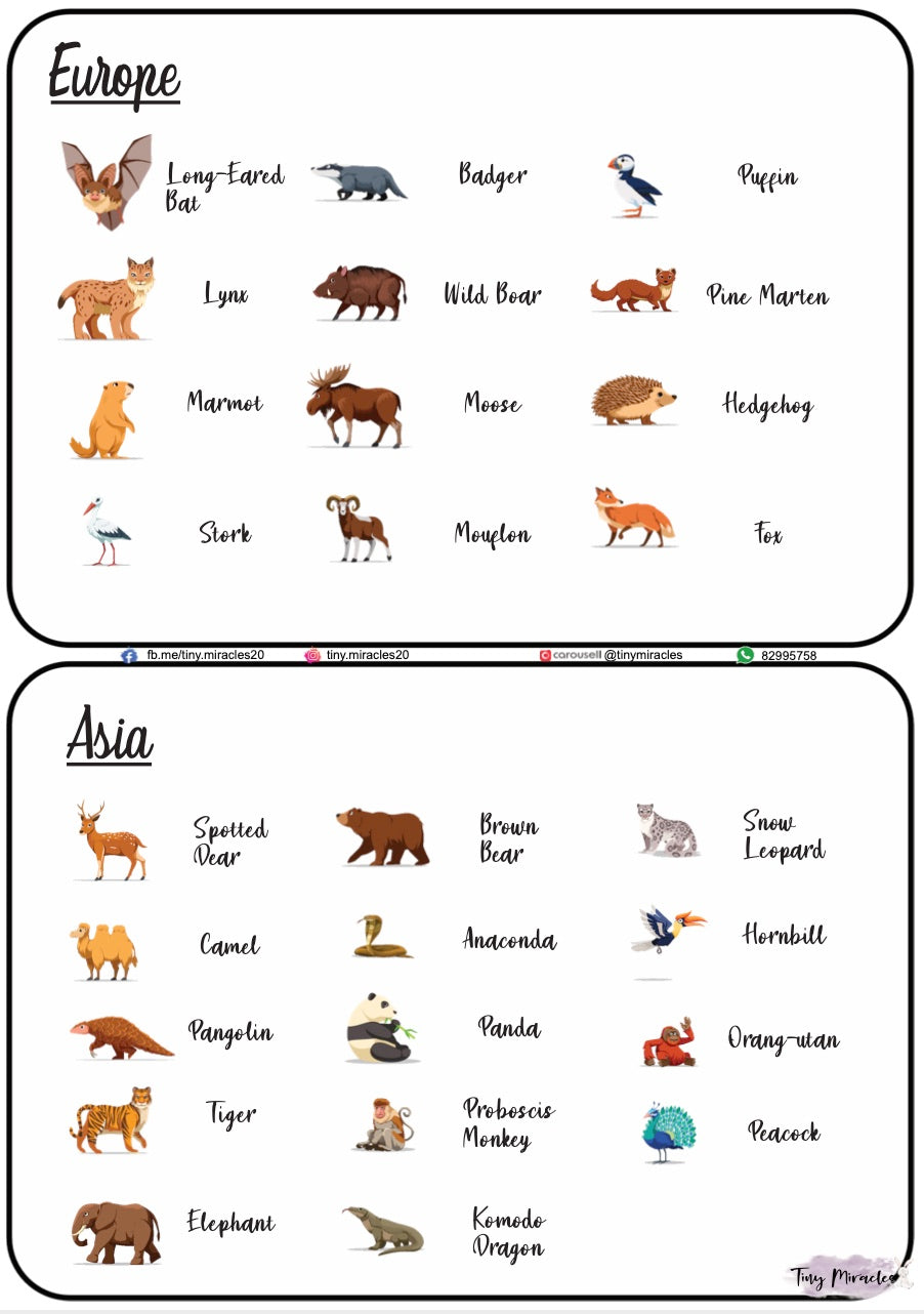 Animals on Each Continent of the World (W02)
