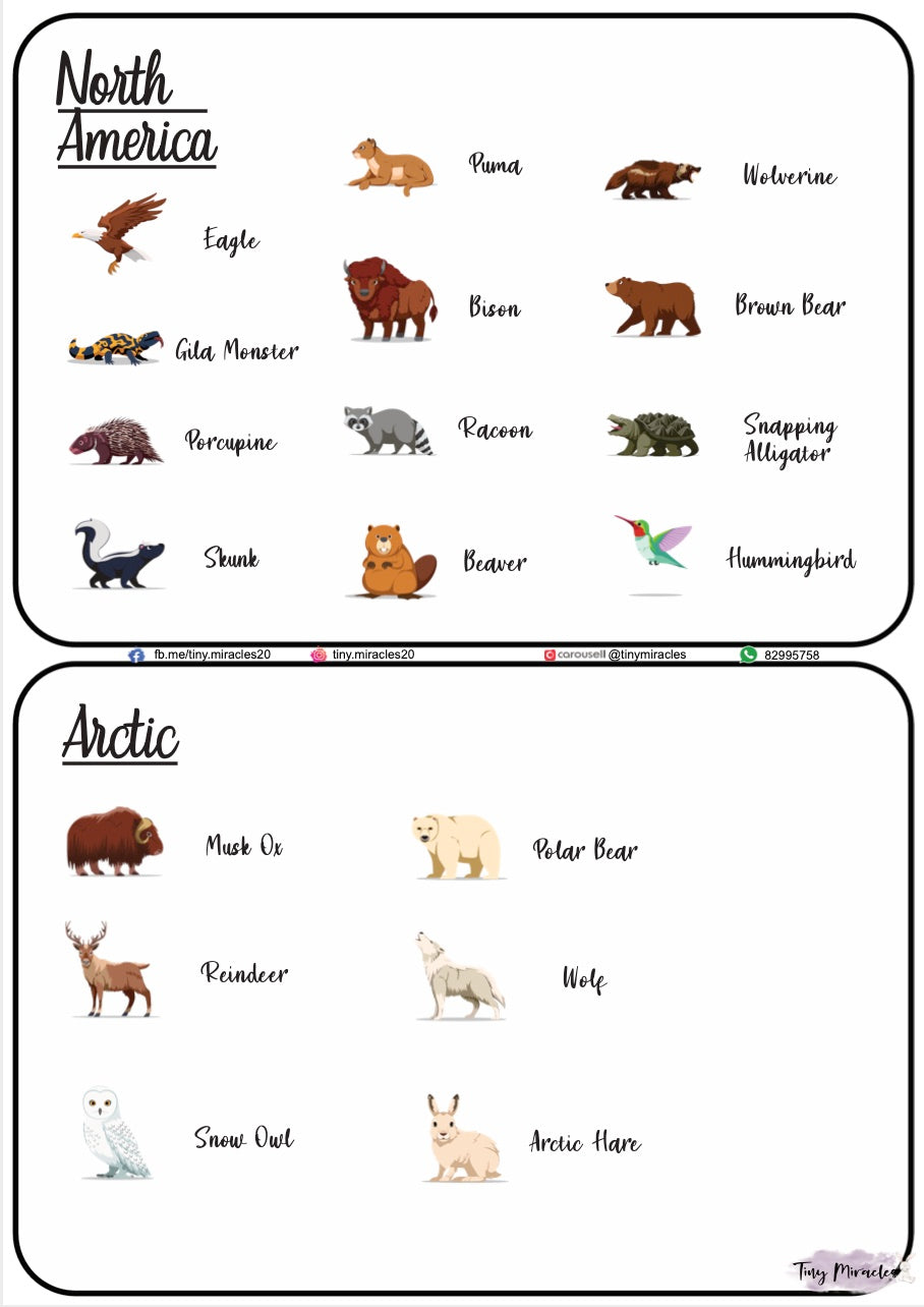 Animals on Each Continent of the World (W02)