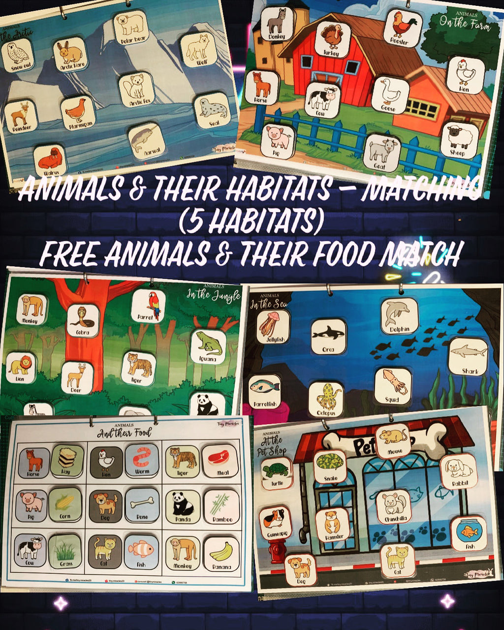 Animals & Their Habitats (OW45)