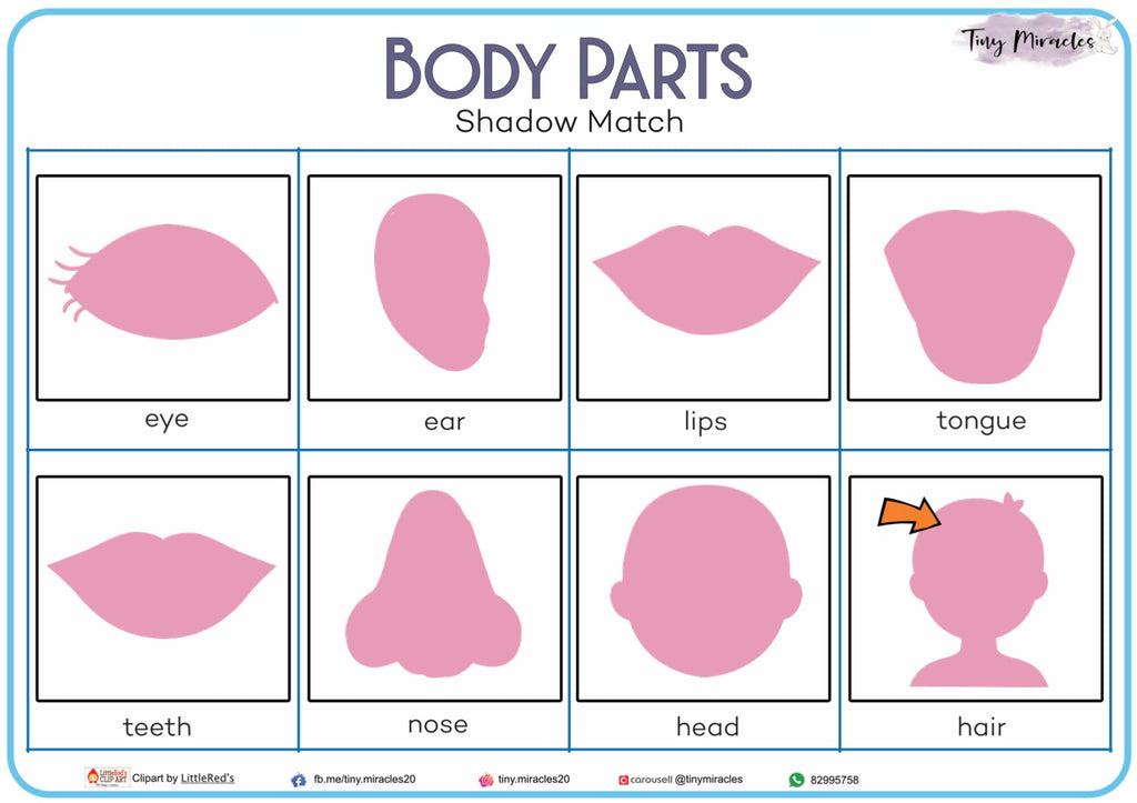Body Parts Shadow Match (OW16B)
