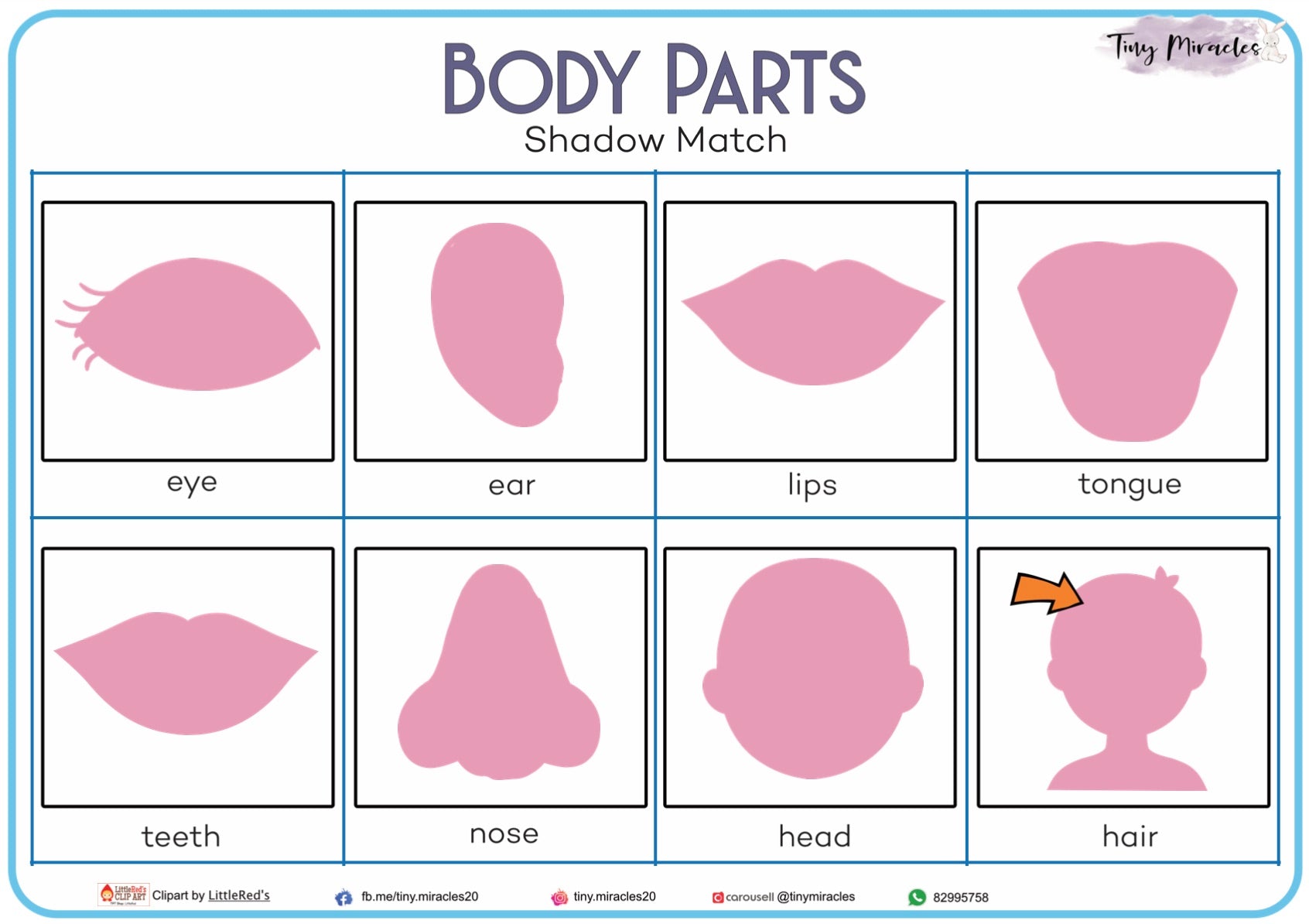 Body Parts Shadow Match (OW16B)
