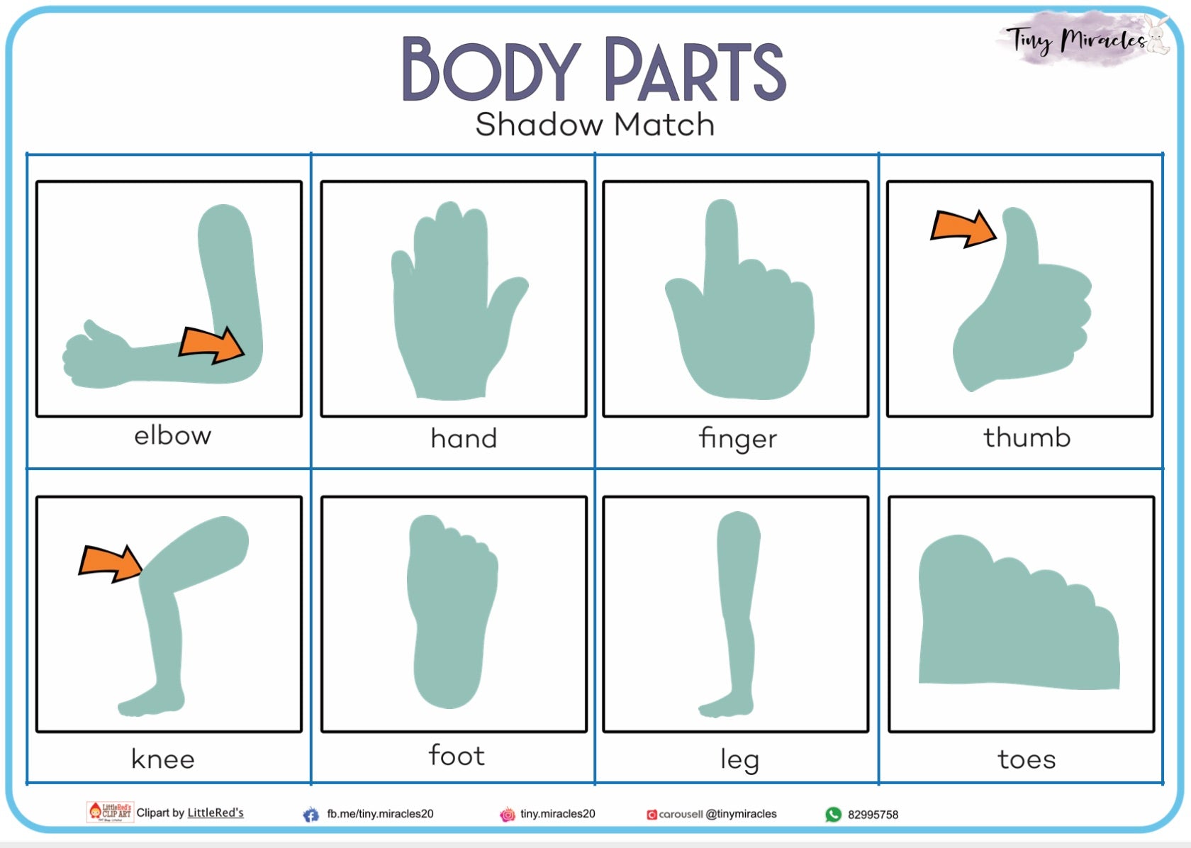 Body Parts Shadow Match (OW16B)