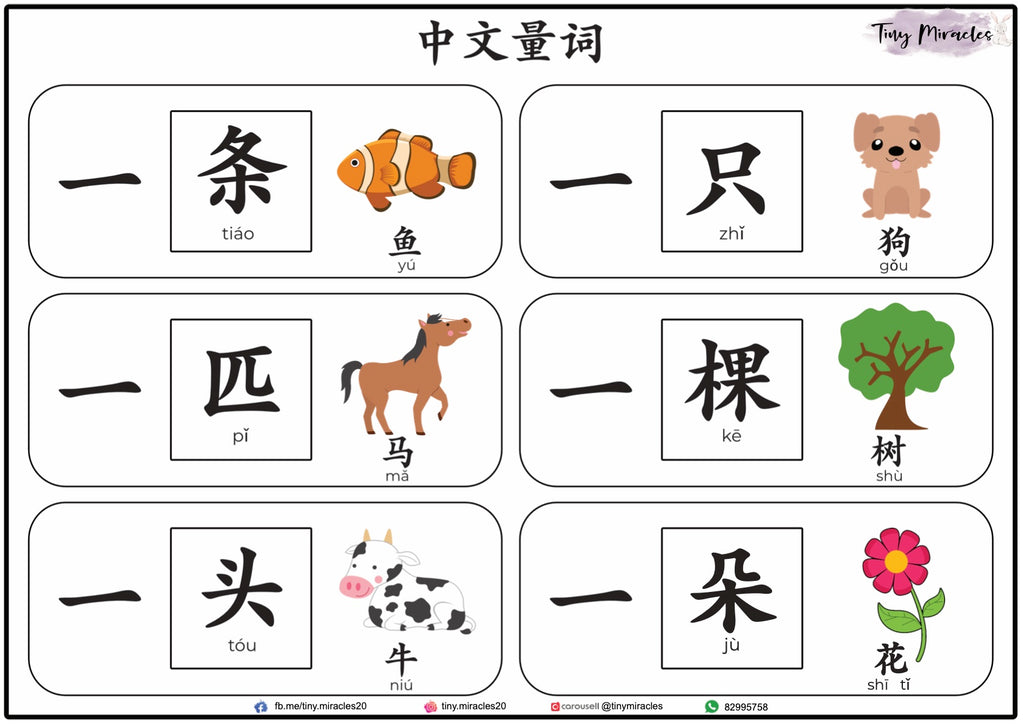 Chinese Measure Words 量词 Activity Book