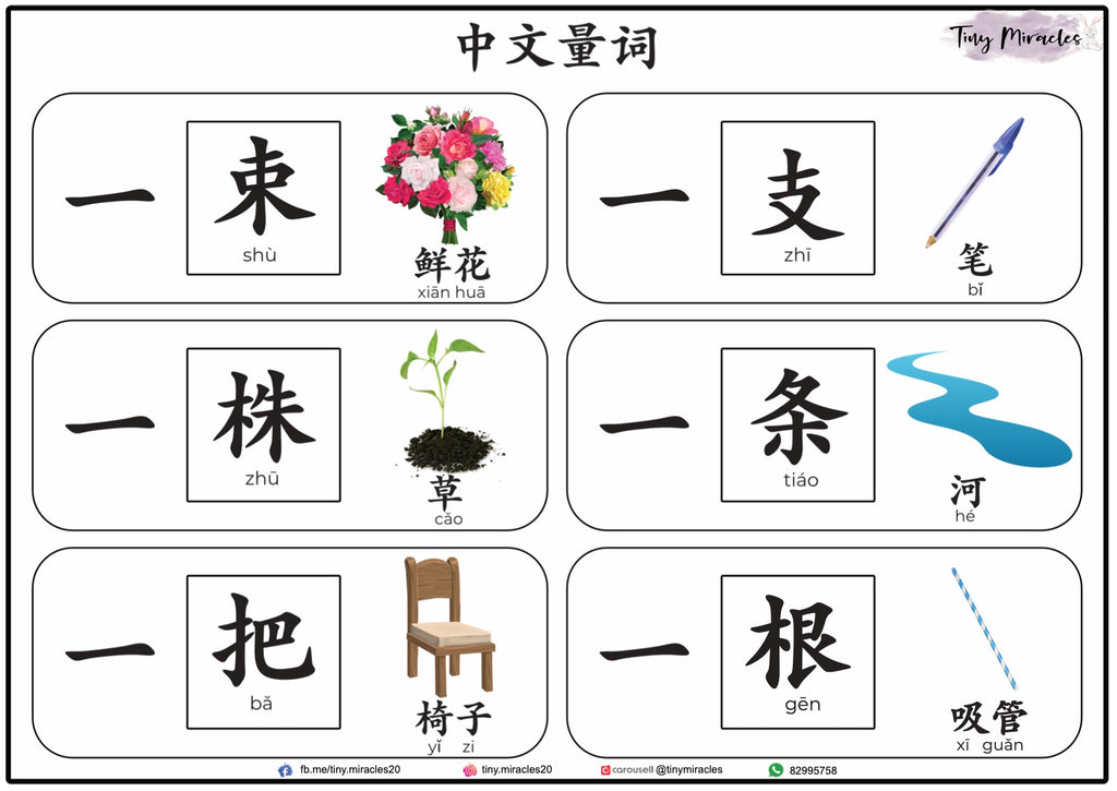 Chinese Measure Words 量词 Activity Book