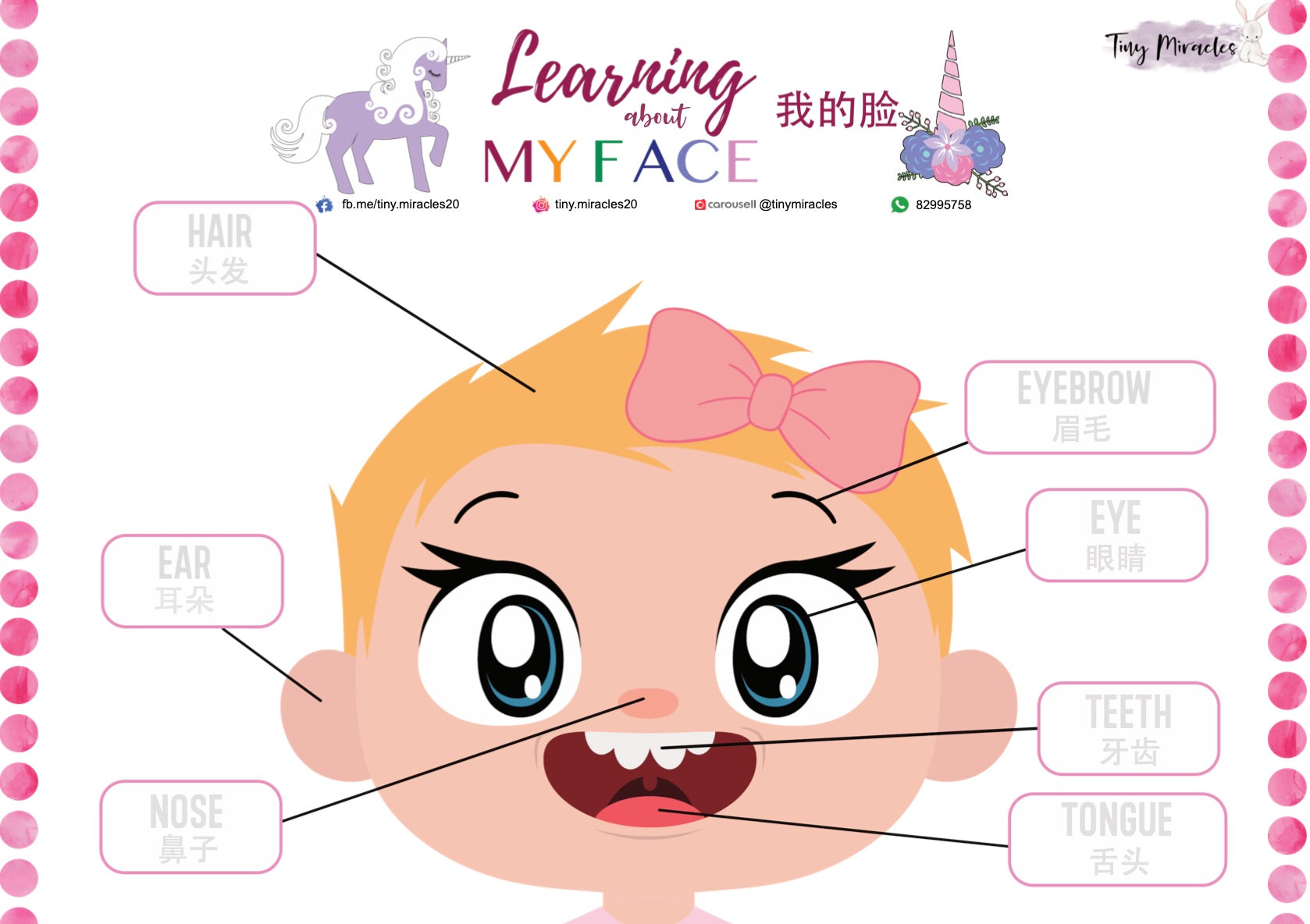 Parts of the Face | Label Matching Activity for Toddlers (English or Chinese)