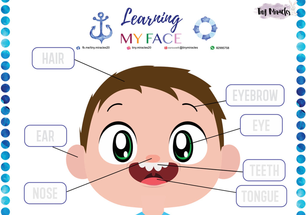 Parts of the Face | Label Matching Activity for Toddlers (English or Chinese)