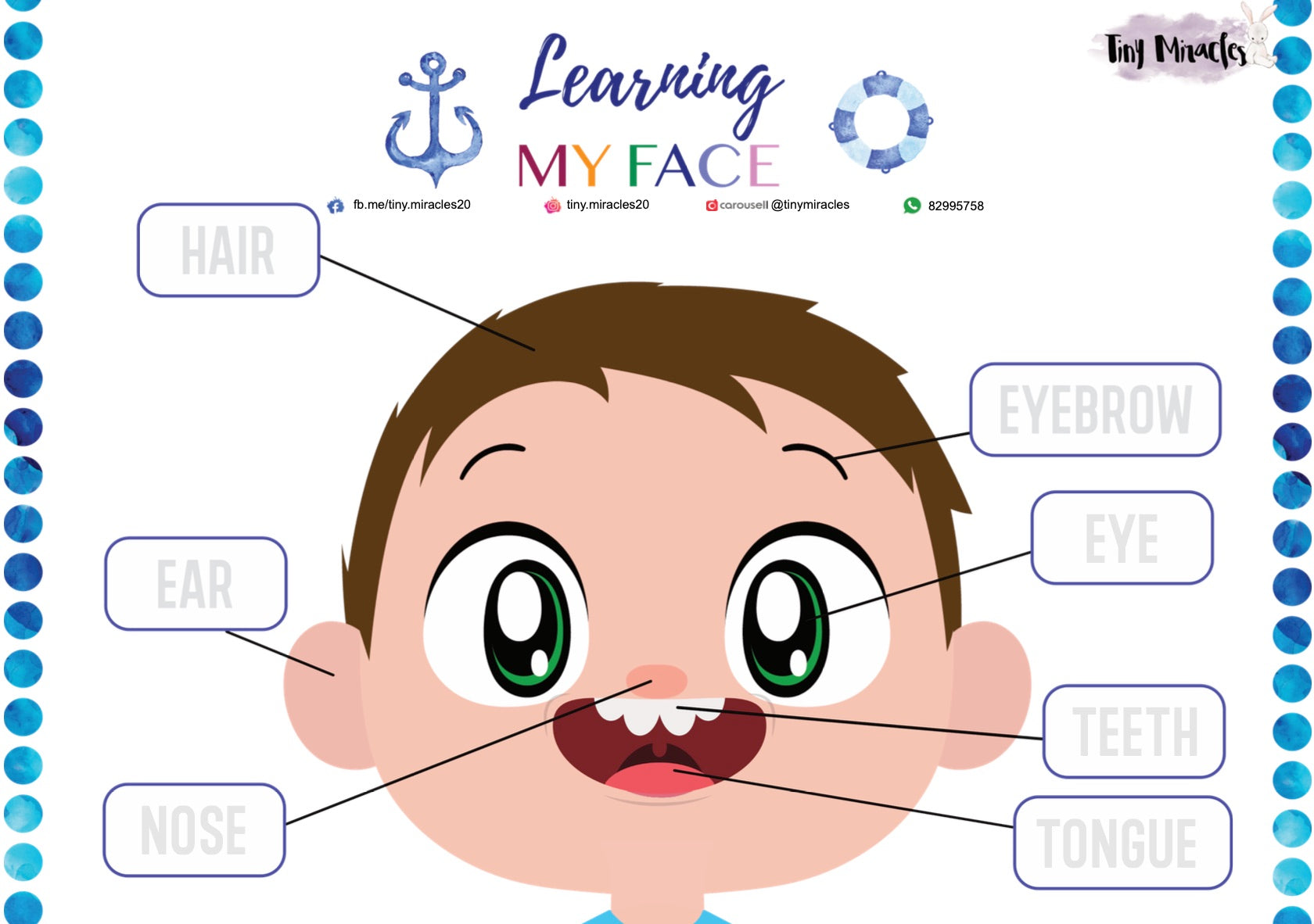 Parts of the Face | Label Matching Activity for Toddlers (English or Chinese)