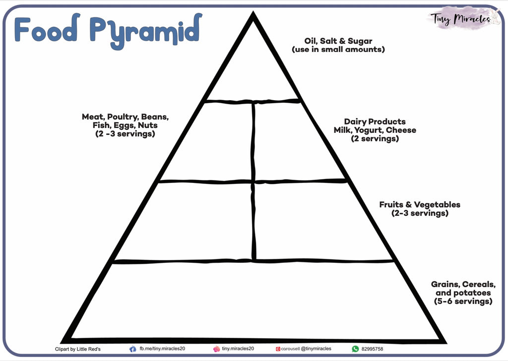 Food Pyramid Sorting (OW56)