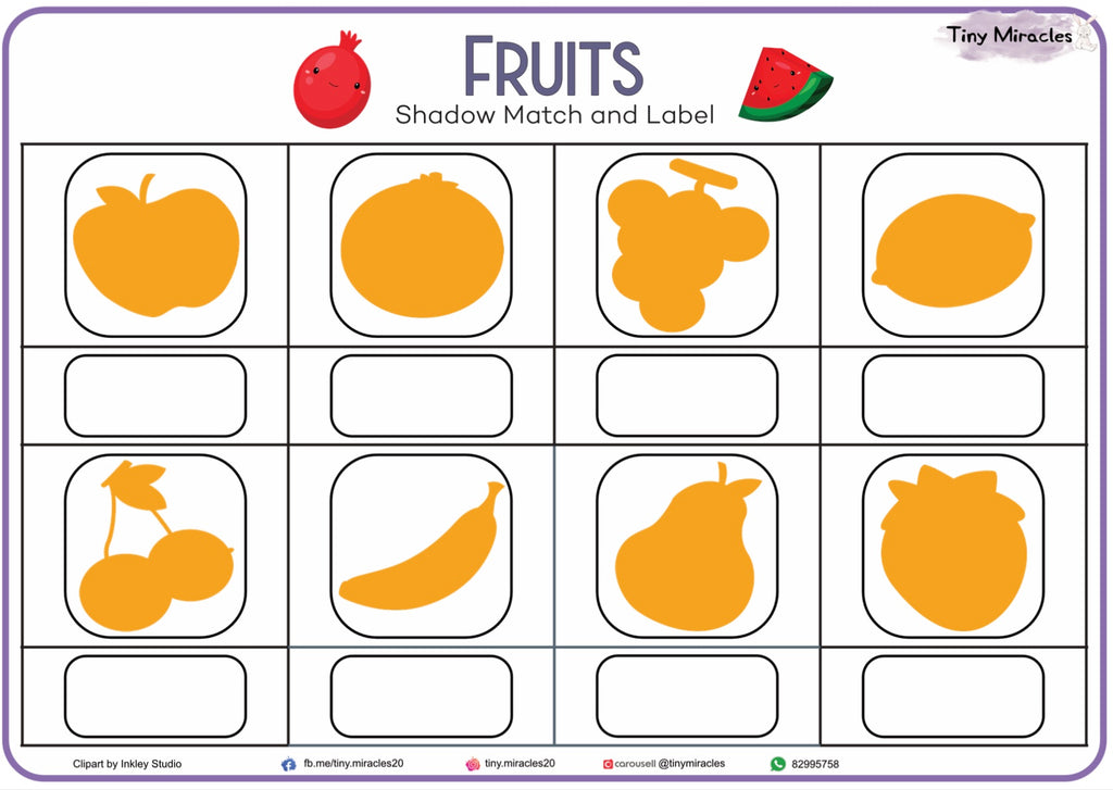 Fruits Shadow Match and Labelling (CW07B)