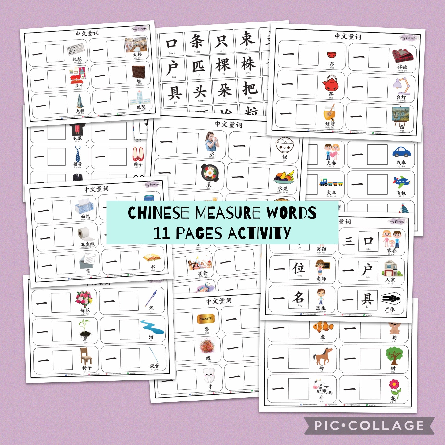 Set of Chinese measure words activity sheets on a purple background