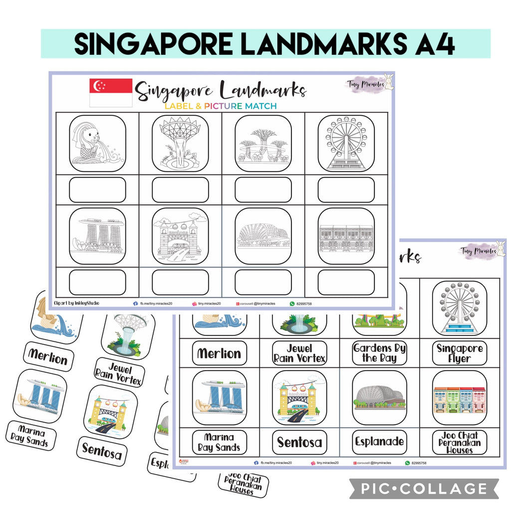 Singapore Landmarks - Label & Picture Match (Discover the City's Icons!)