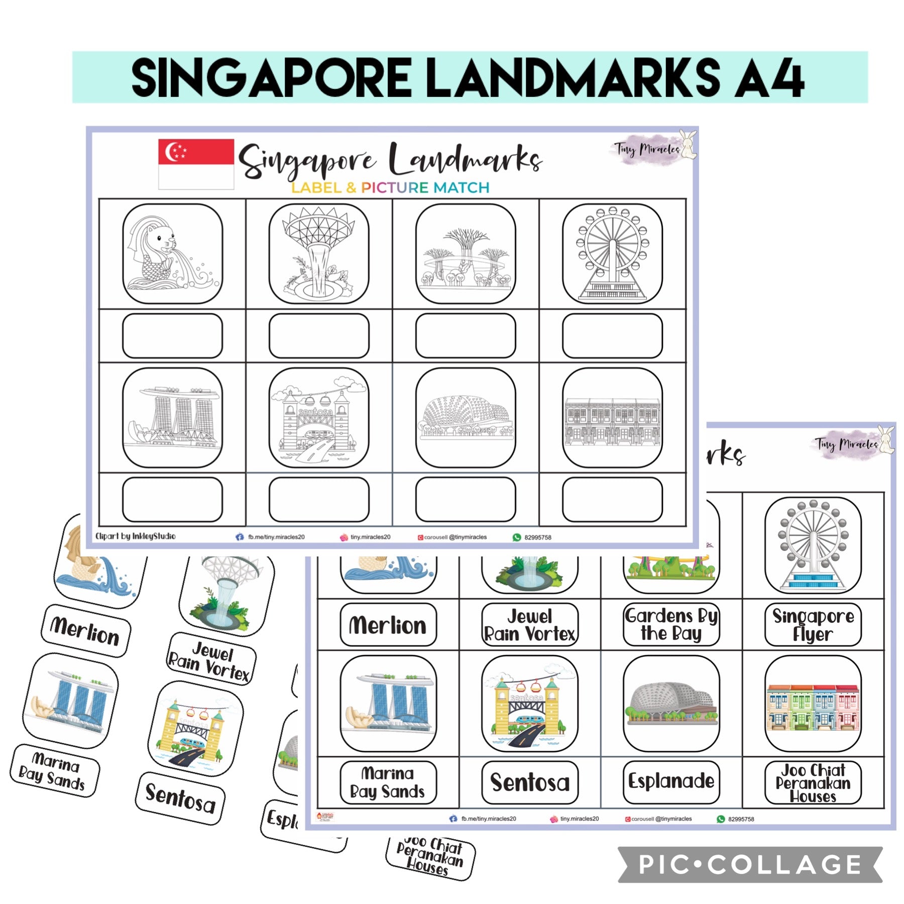 Singapore Landmarks - Label & Picture Match (Discover the City's Icons!)