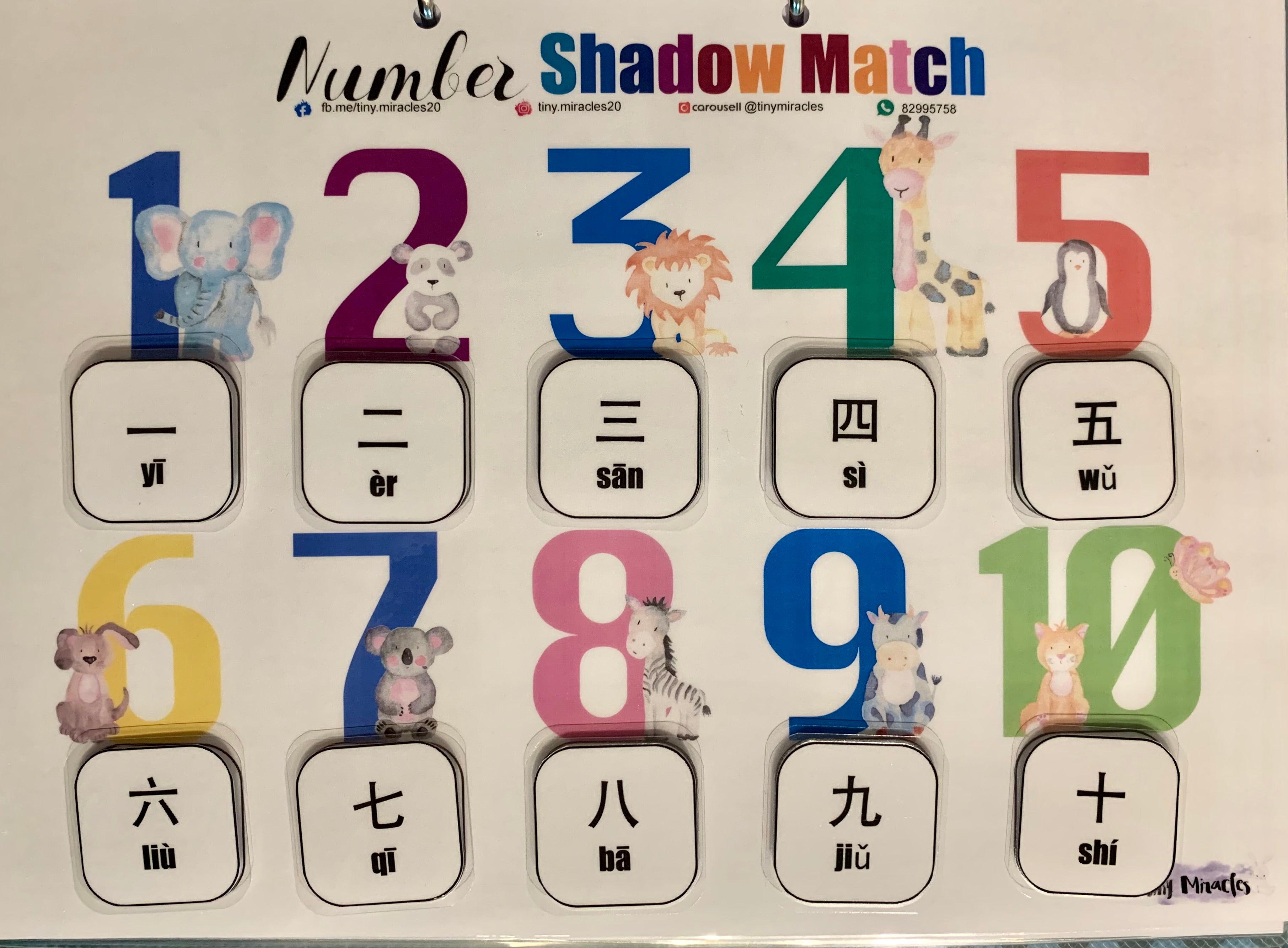 Number Shadow Match (1 to 10) | English or Chinese