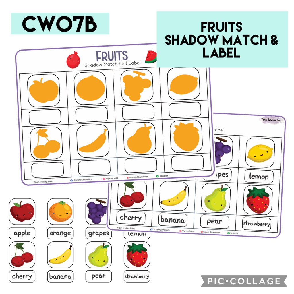 Fruits Shadow Match and Labelling (CW07B)