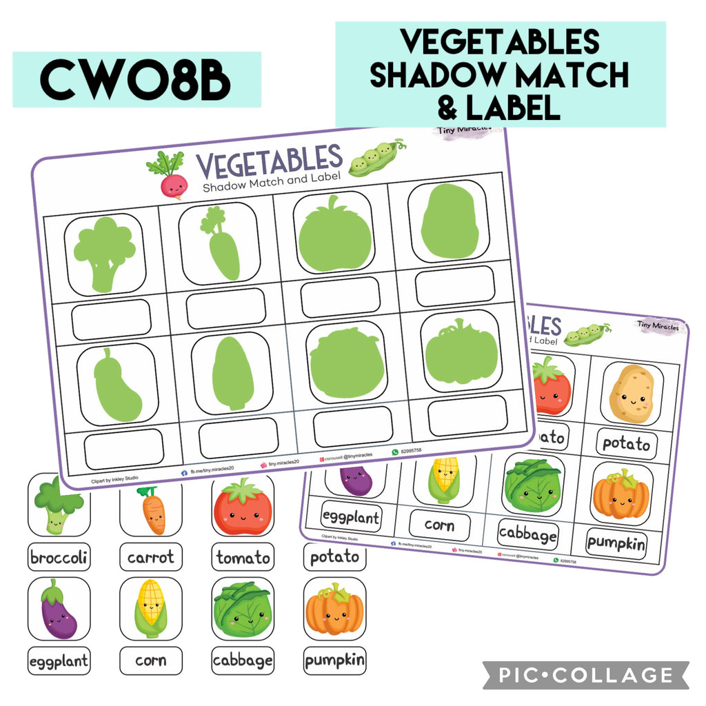 Vegetables Shadow Match and Labelling (CW08B)