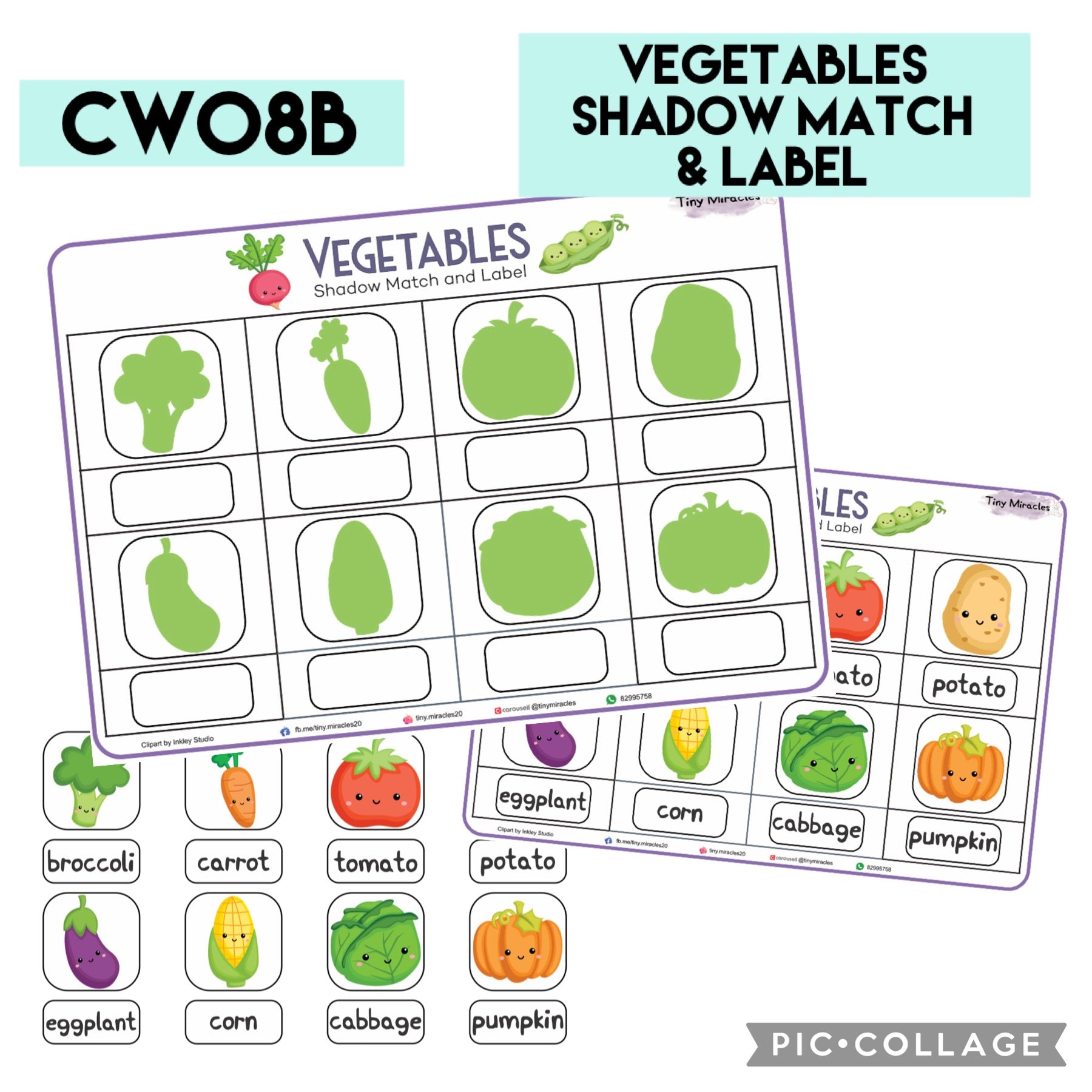 Vegetables Shadow Match and Labelling (CW08B)
