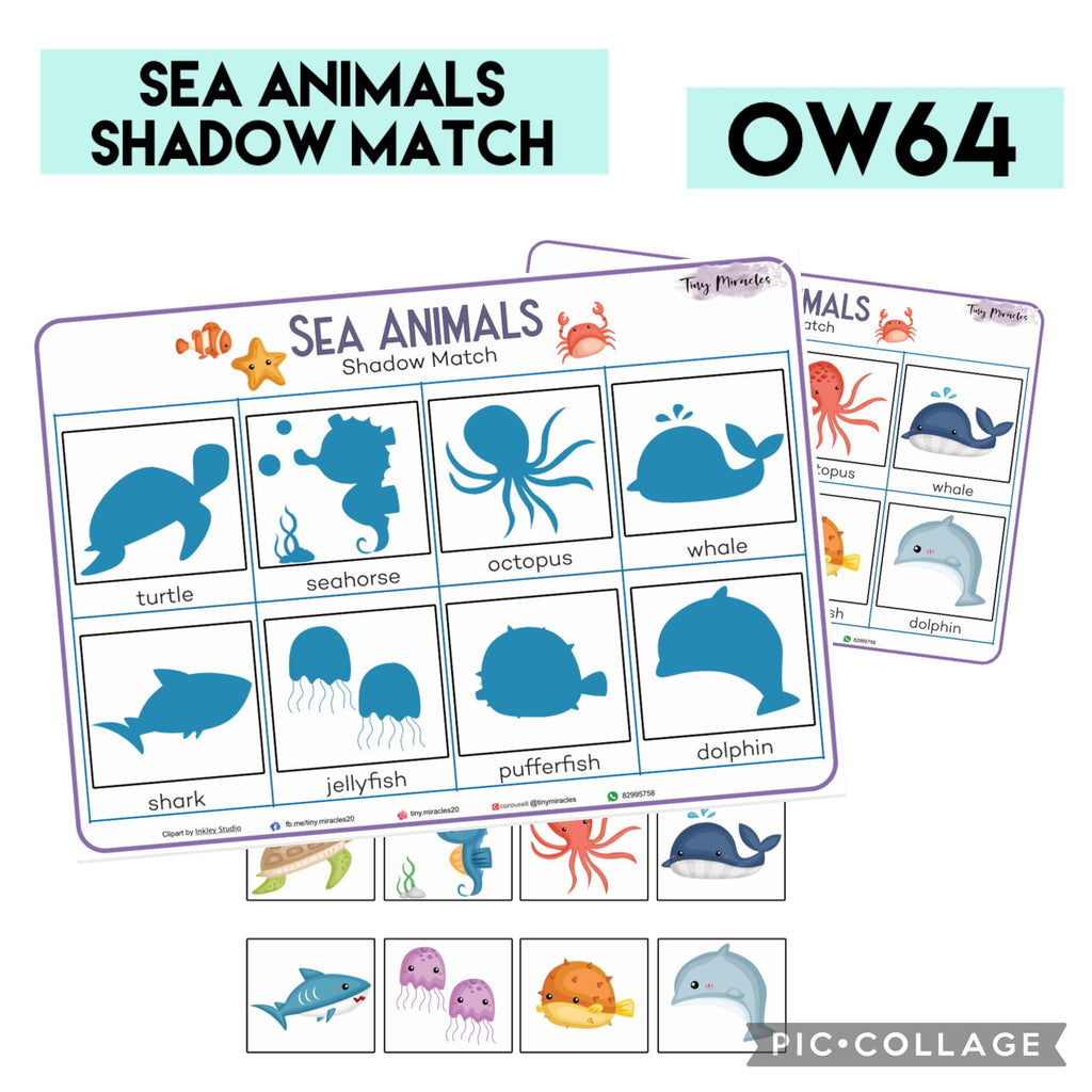 Sea Animals Shadow Match (OW64)