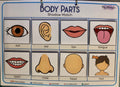 Body parts shadow match educational chart with illustrations and labels.