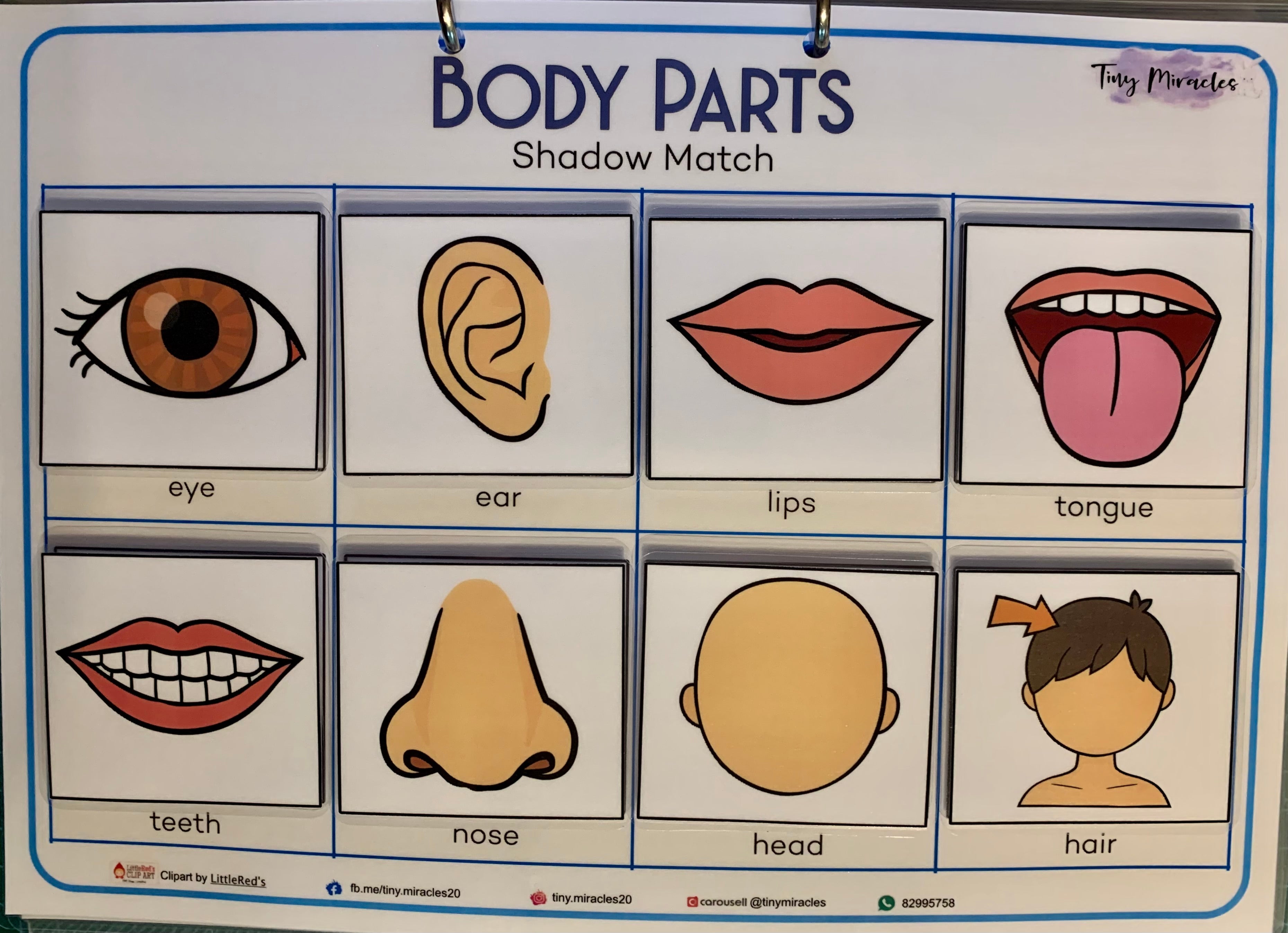 Body parts shadow match educational chart with illustrations and labels.