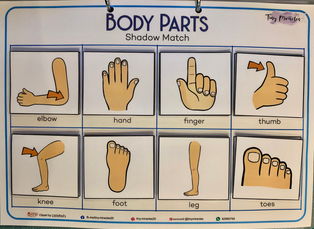 Body Parts Shadow Match (OW16B)