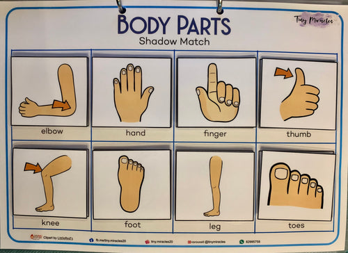 Body Parts Shadow Match (OW16B)