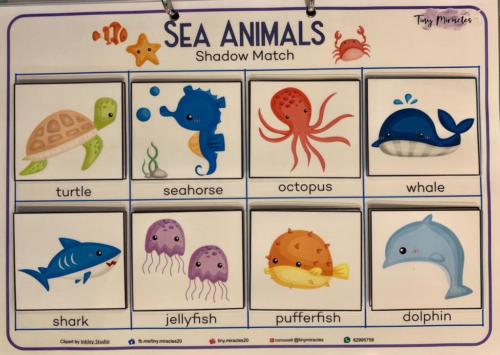 Sea Animals Shadow Match (OW64)