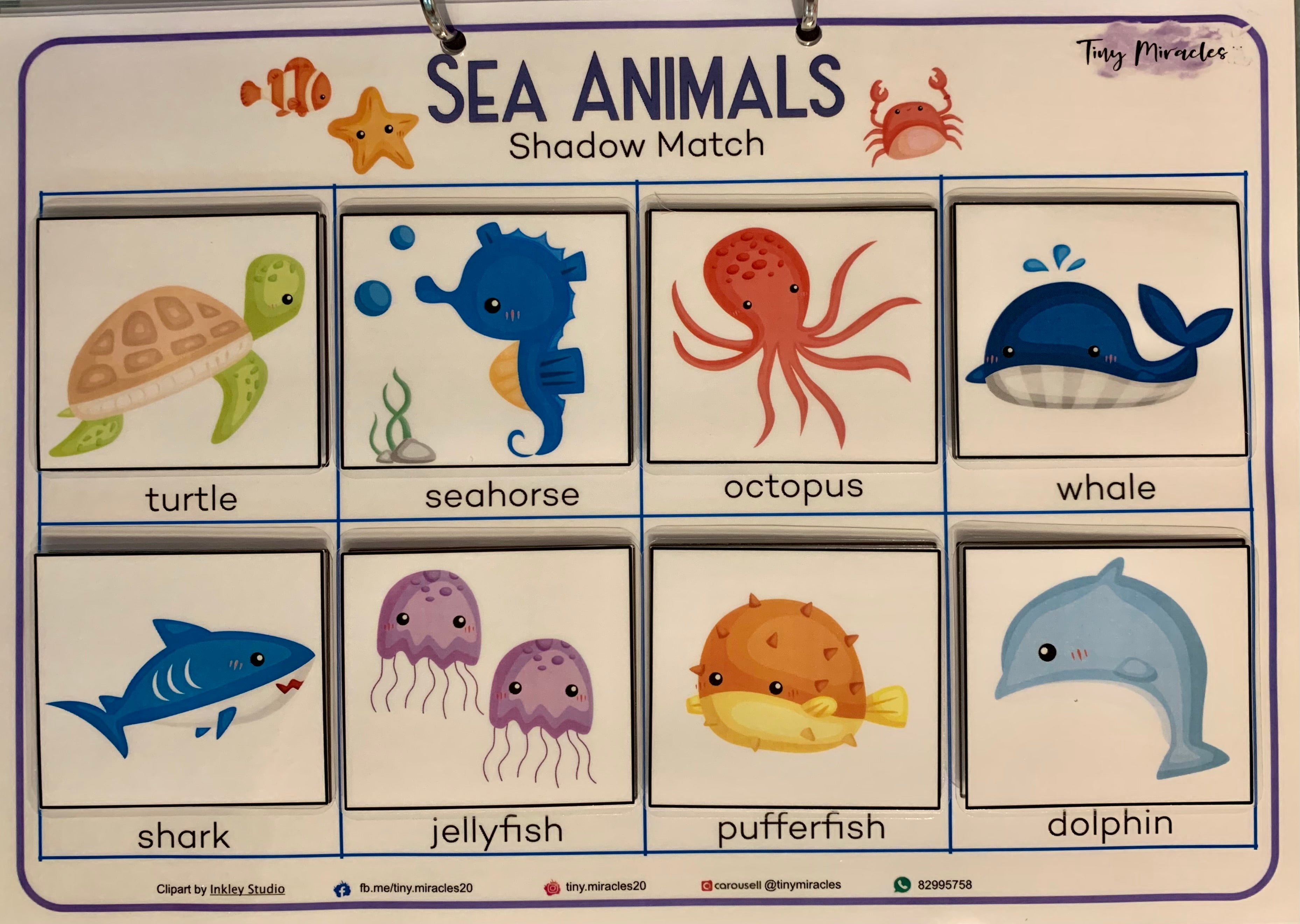 Sea Animals Shadow Match (OW64)