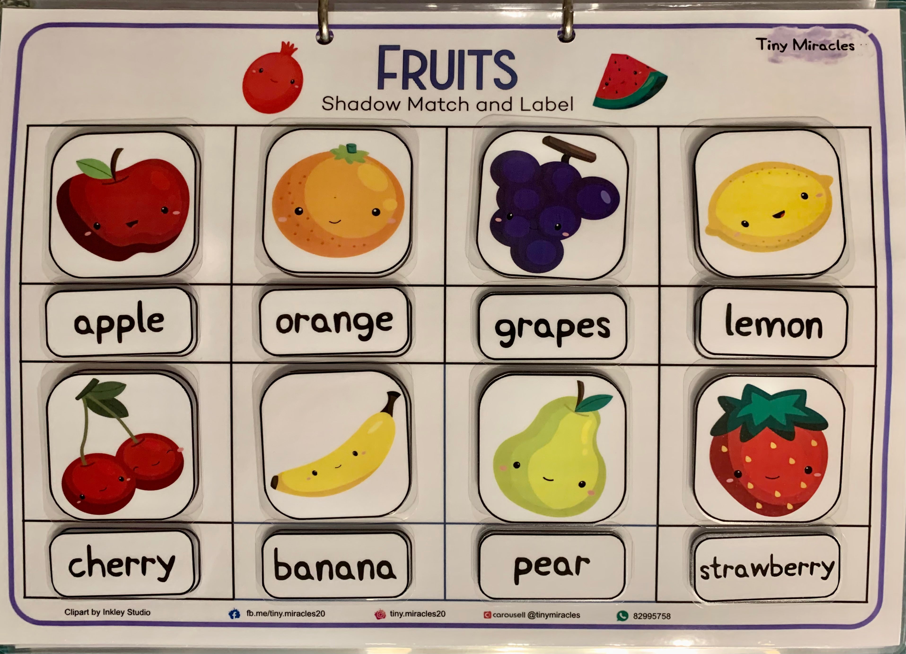 Fruits Shadow Match and Labelling (CW07B)