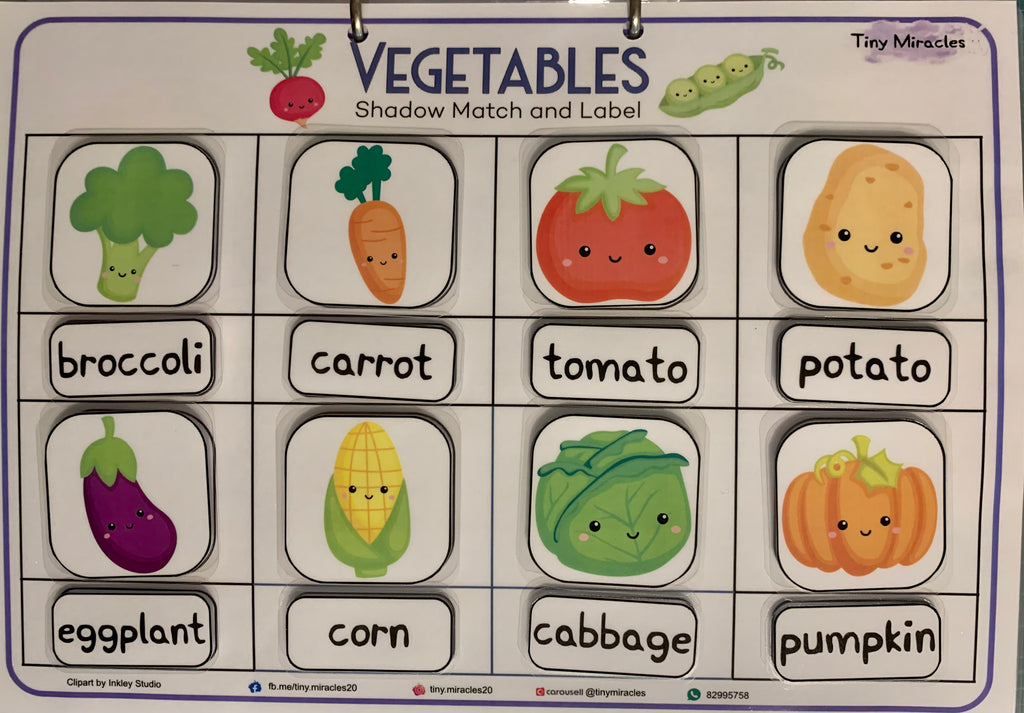 Vegetables Shadow Match and Labelling (CW08B)