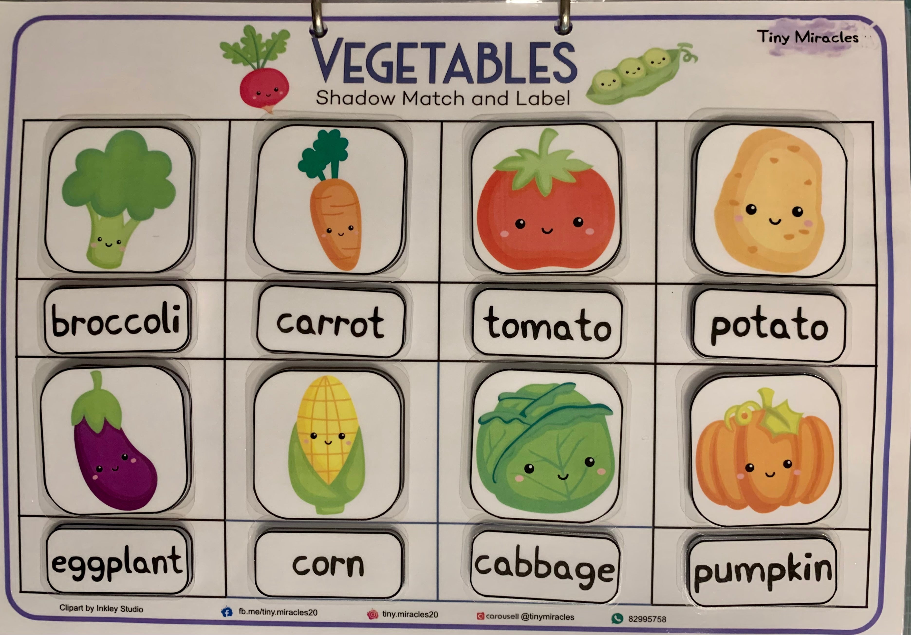 Vegetables Shadow Match and Labelling (CW08B)