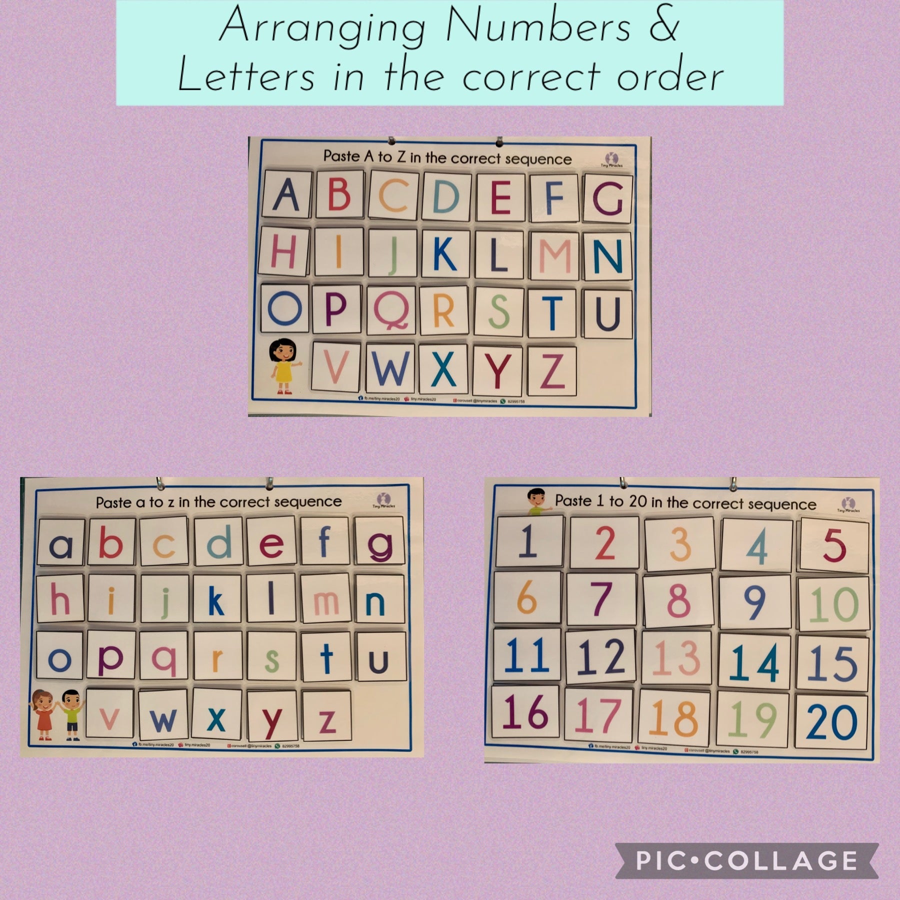 Arrange In Order Activity (OW73)
