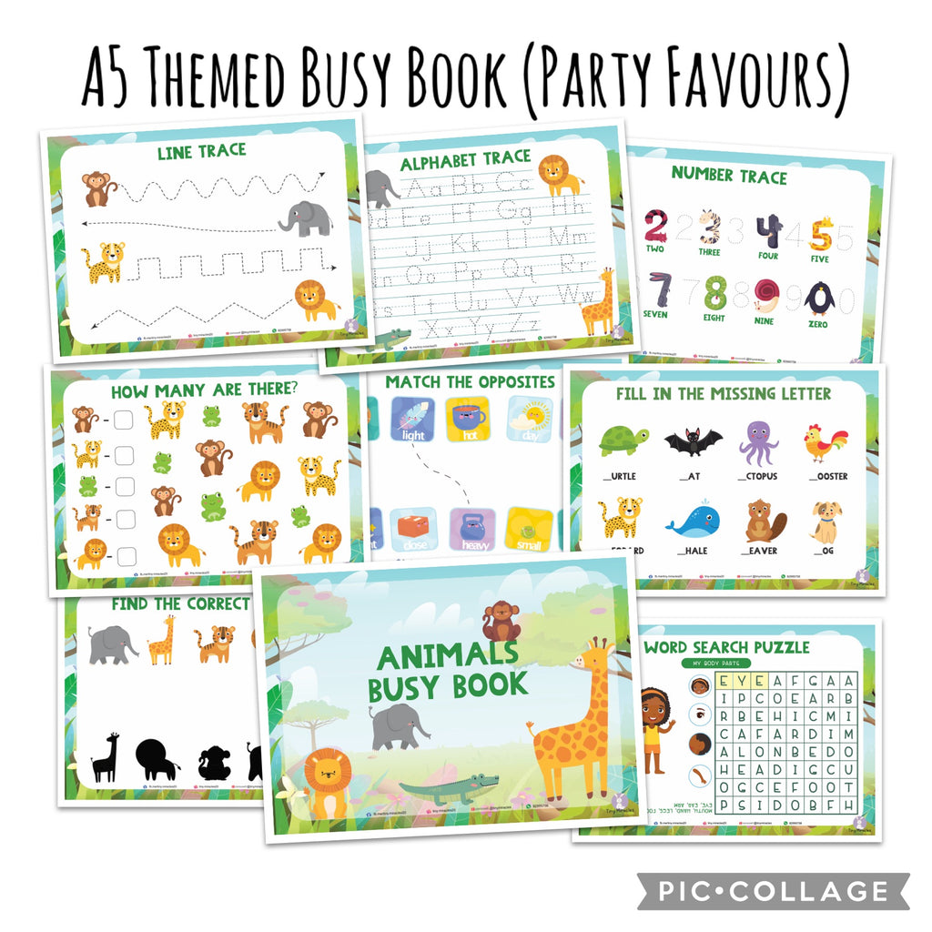 A5 Themed Busy Book (Goodie Bag/Party Favours Activity)