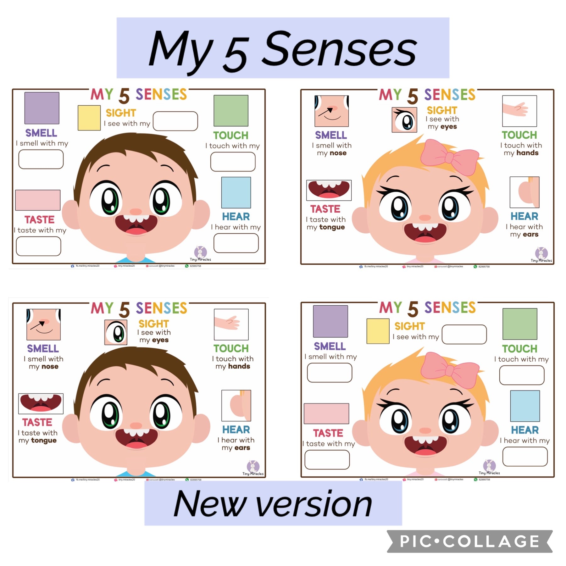 The 5 Senses | Velcro Matching Activity for Toddlers (Boy or Girl)