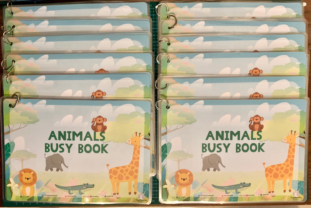 A5 Themed Busy Book (Goodie Bag/Party Favours Activity)